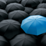 A single blue umbrella stands out among a crowd of black umbrellas — a visual metaphor for challenging groupthink in decision making and promoting board diversity of thought.